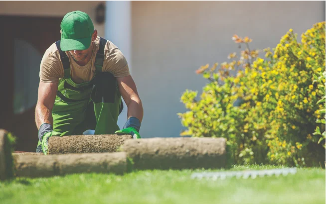 sod outside