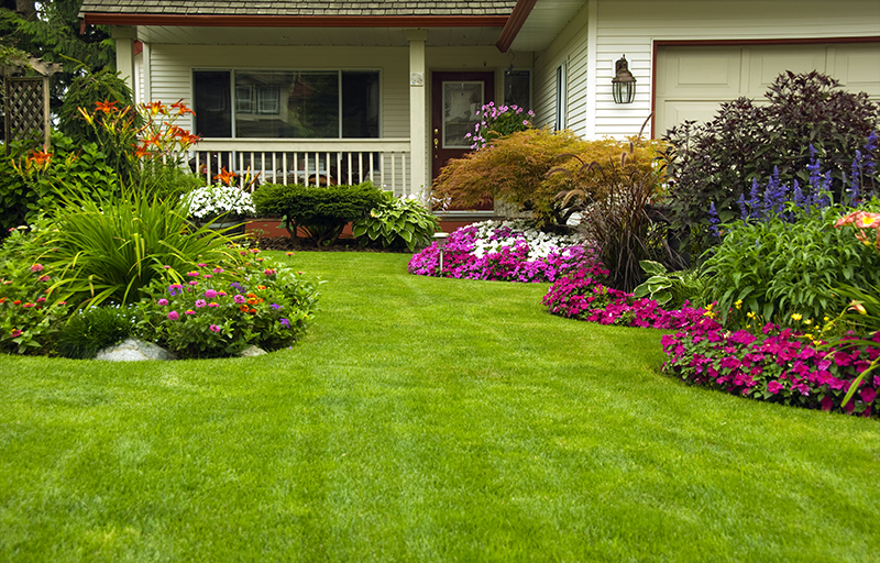 Landscaping ideas for your home