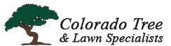 Colorado Tree and Lawn Specialists