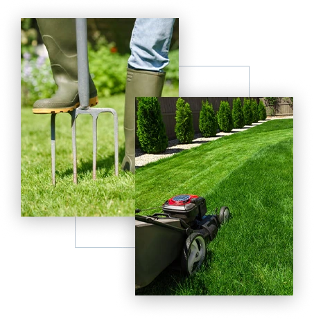 Lawn Care Services